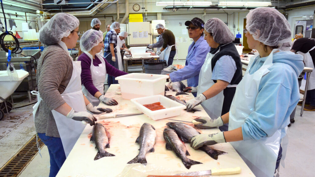 process farm