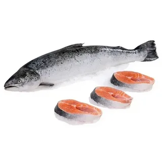 salmon atlantic